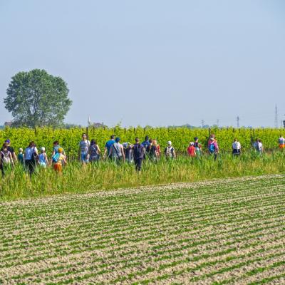 P1014540