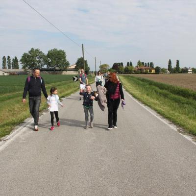 393 Img 6552