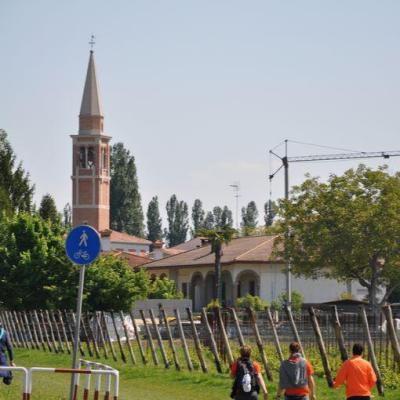 Dsc 1386