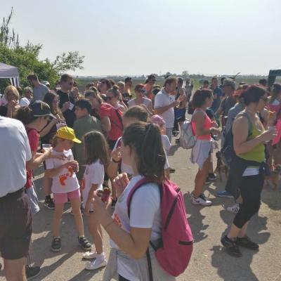 Img 20180429 095813