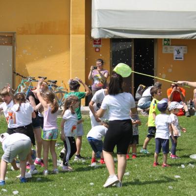 Img 8574