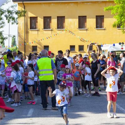 Terza Marcia di Virgilio - Edizione 2019