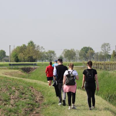 Img 7579