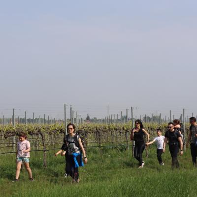Img 7600