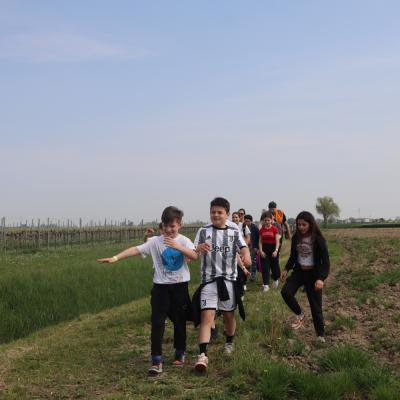 Img 7633