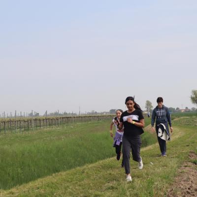 Img 7646