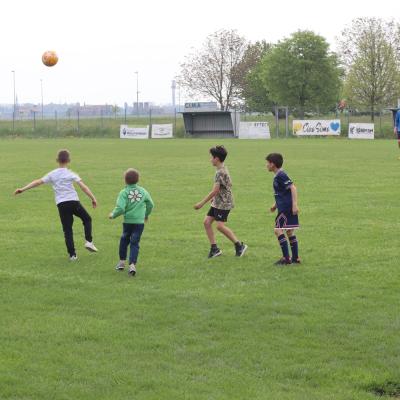 Img 7696
