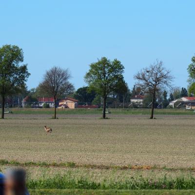 P1010647